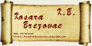 Kosara Brezovac vizit kartica